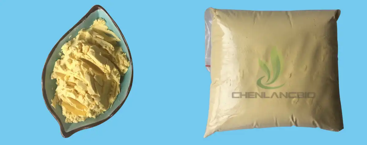 Durian Fruit Powder Supply.jpg